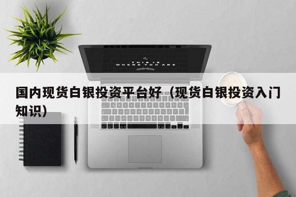 国内现货白银投资平台好（现货白银投资入门知识）