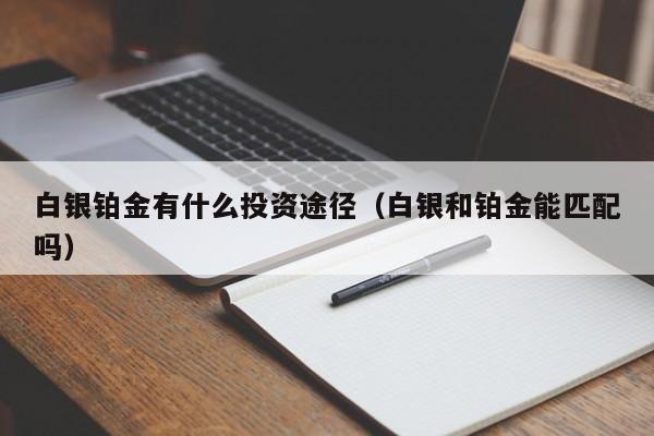 白银铂金有什么投资途径（白银和铂金能匹配吗）