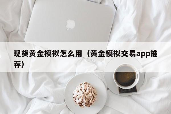 现货黄金模拟怎么用（黄金模拟交易app推荐）